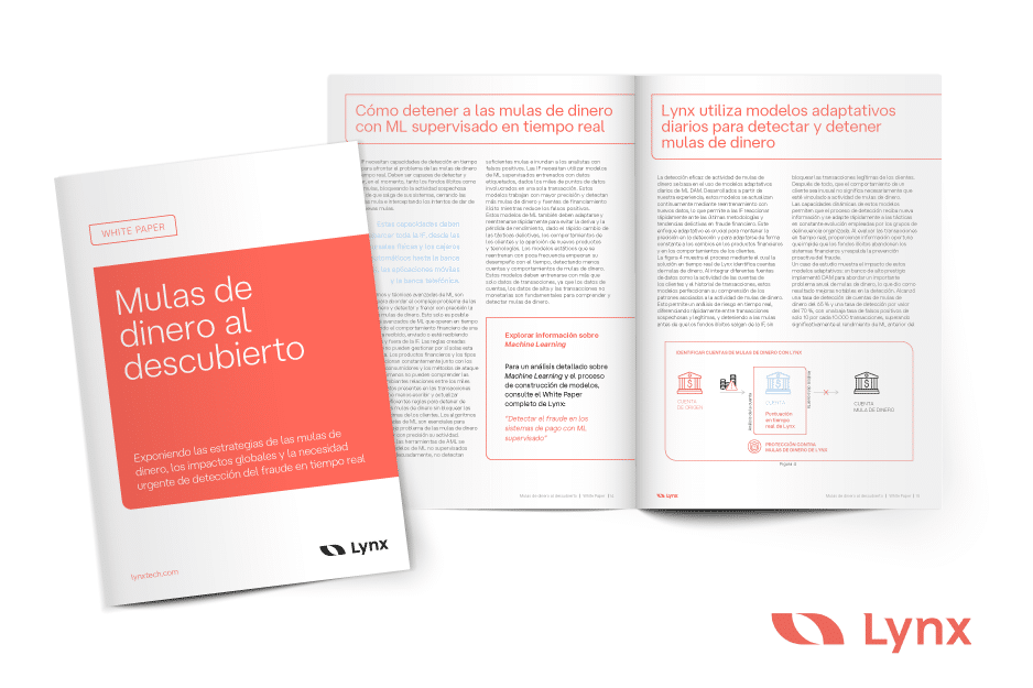 Mulas de dinero al descubierto